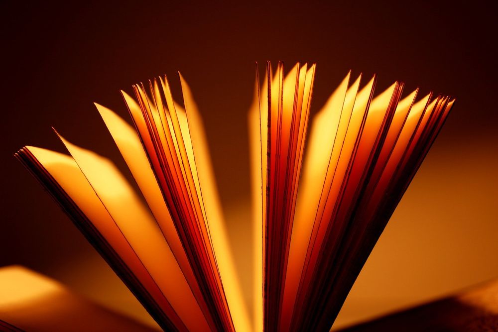 eroticlibrarian OnlyFans profile picture
