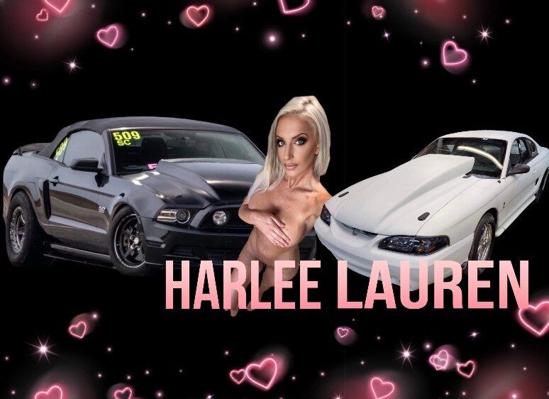 harleelauren OnlyFans profile picture