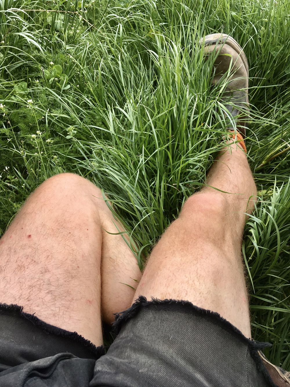 thefarmerslegs OnlyFans profile picture
