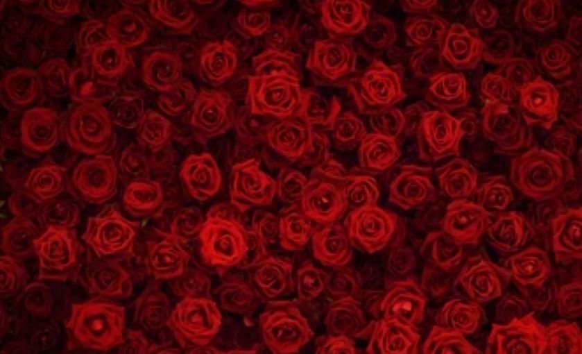 blackrusset OnlyFans profile picture