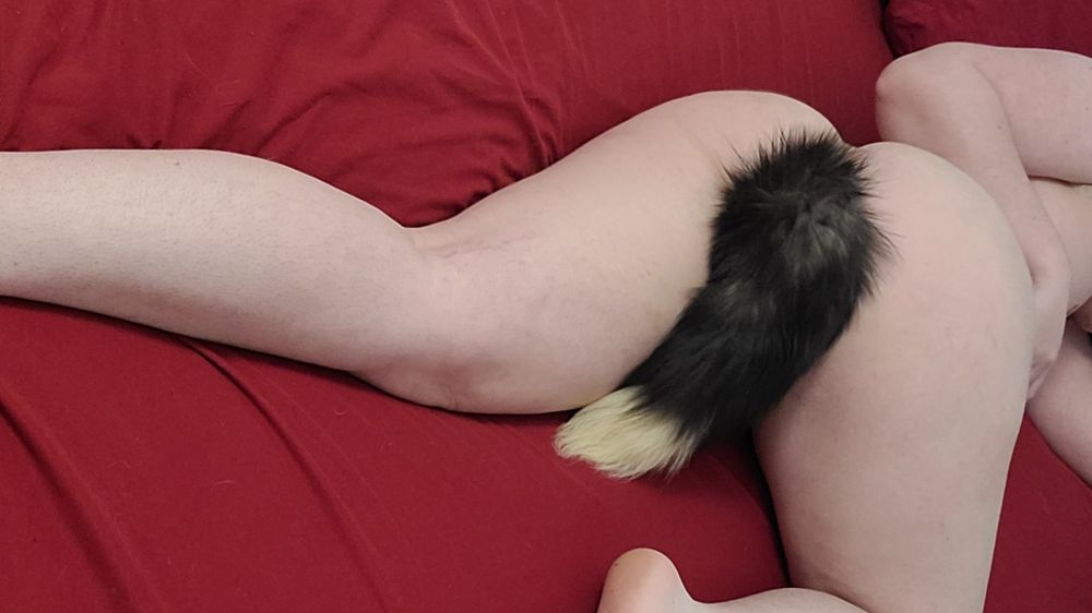 the_rabbithole OnlyFans profile picture