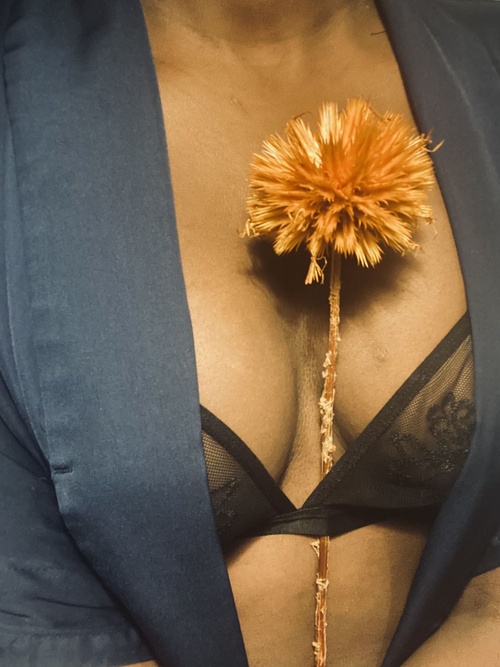 queenofsaba OnlyFans profile picture