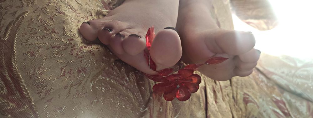 u164625711 OnlyFans profile picture
