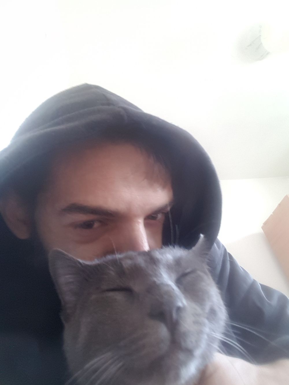 browett OnlyFans profile picture