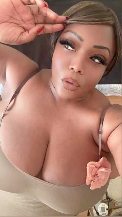 cutiecc OnlyFans picture