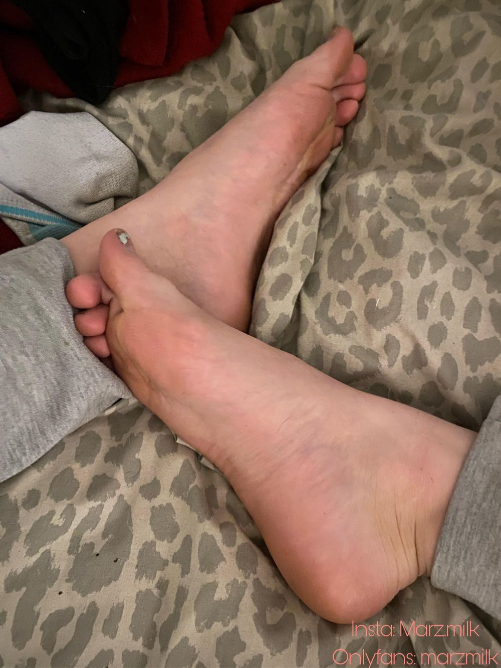 marz.milk OnlyFans profile picture