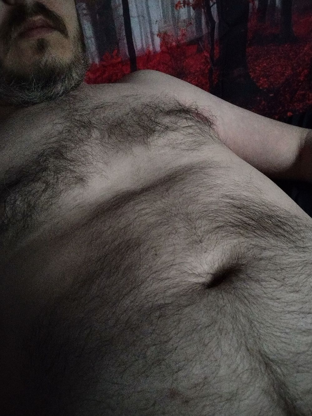 daddybearcock OnlyFans profile picture