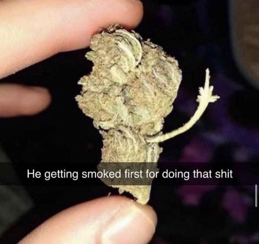 blazedupronin OnlyFans profile picture