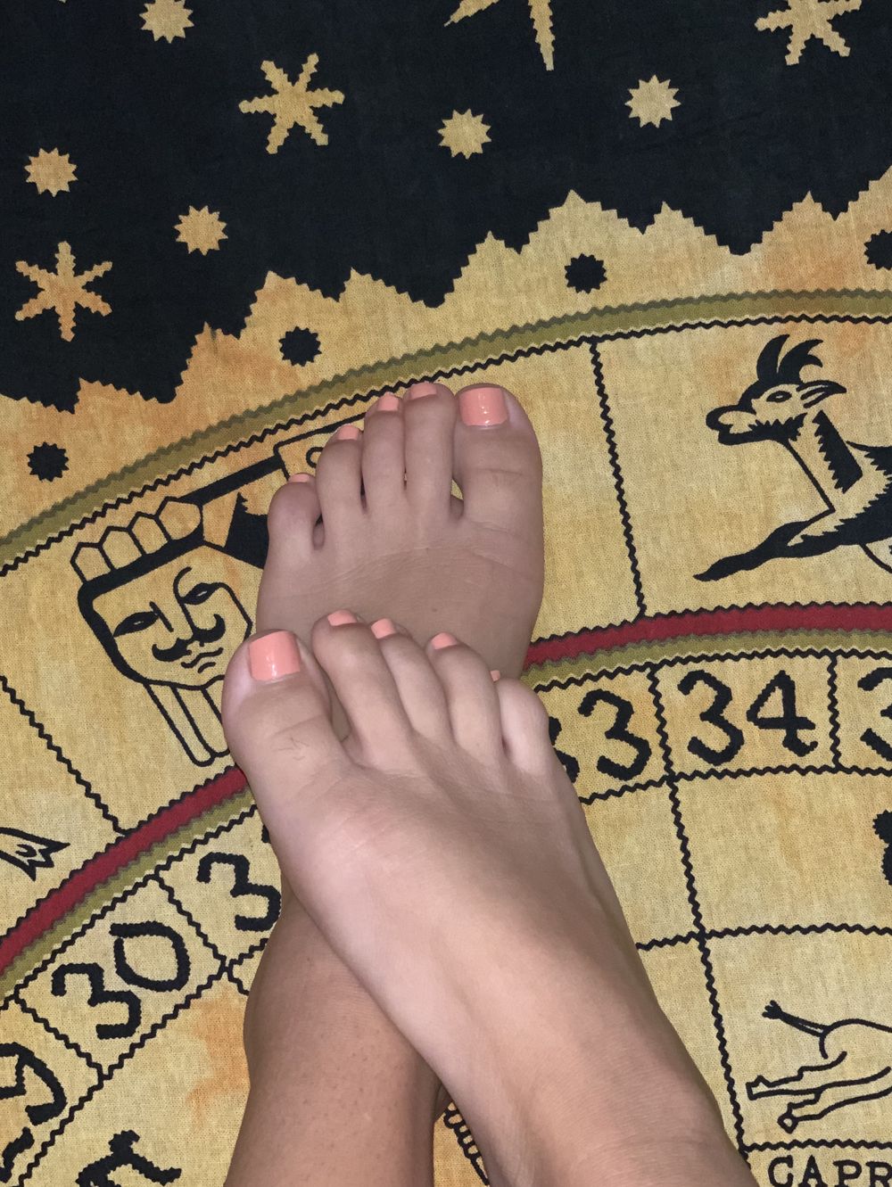cutefotoes OnlyFans profile picture