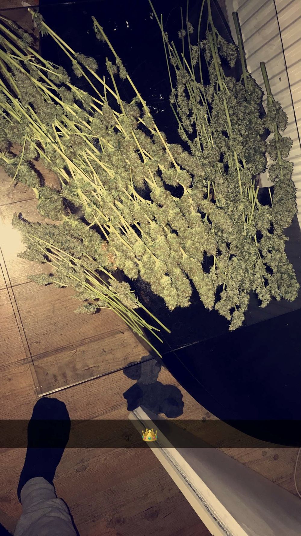 john-jones OnlyFans profile picture