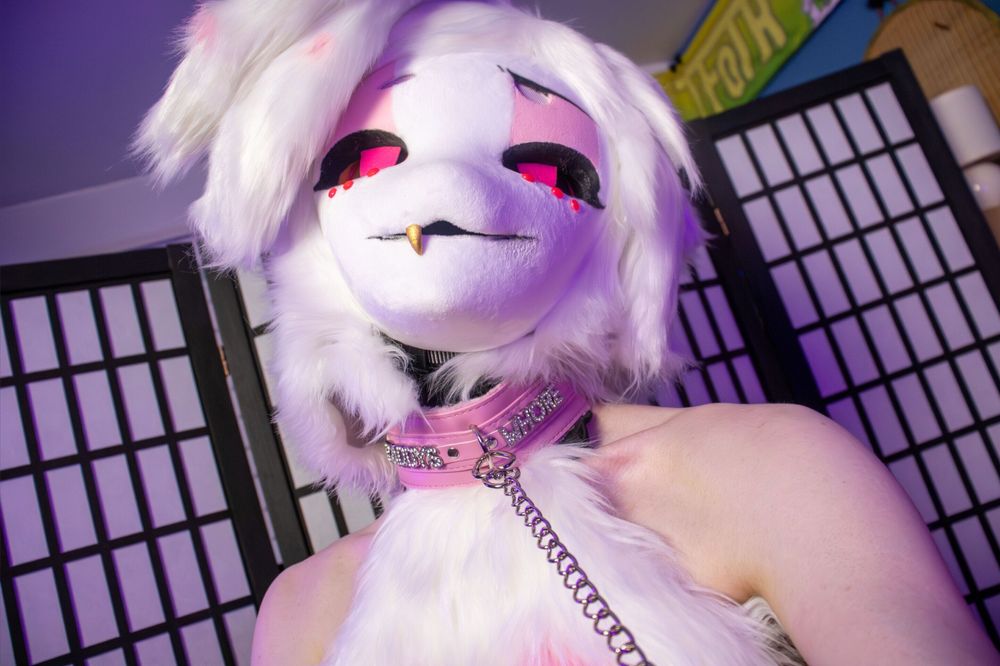 asshufox OnlyFans profile picture