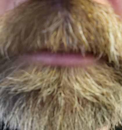 bearfootenthusiast OnlyFans picture