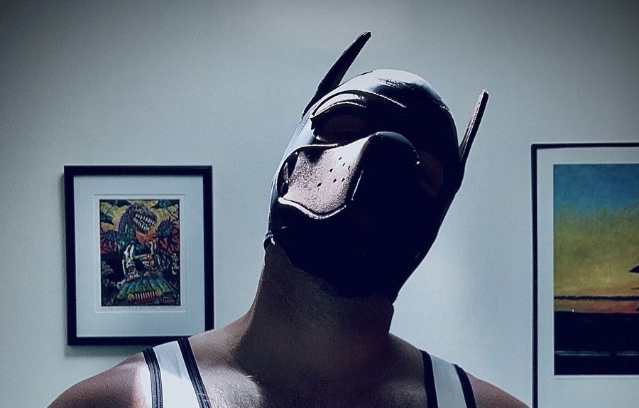 pupleo06 OnlyFans profile picture