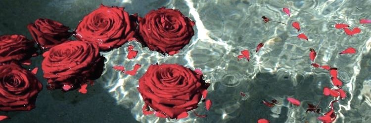 itsnot_rose OnlyFans profile picture