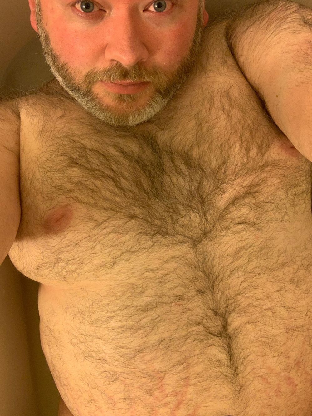scbearfun OnlyFans profile picture