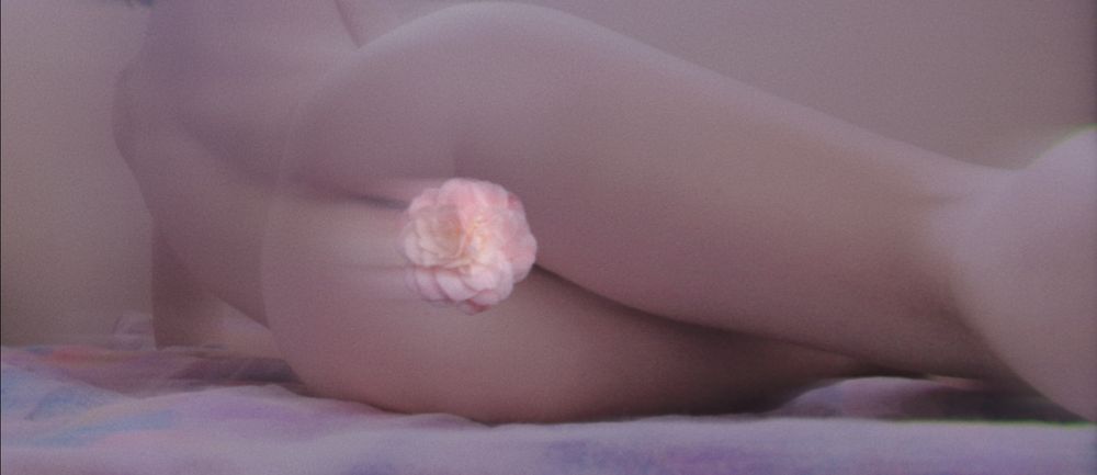 emas_hentai OnlyFans profile picture
