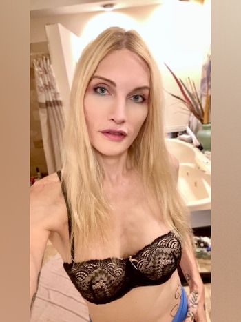 catlikesierra OnlyFans profile picture