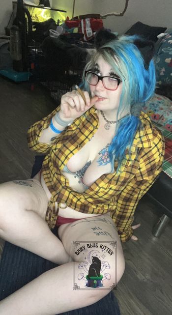 Blue Kitten