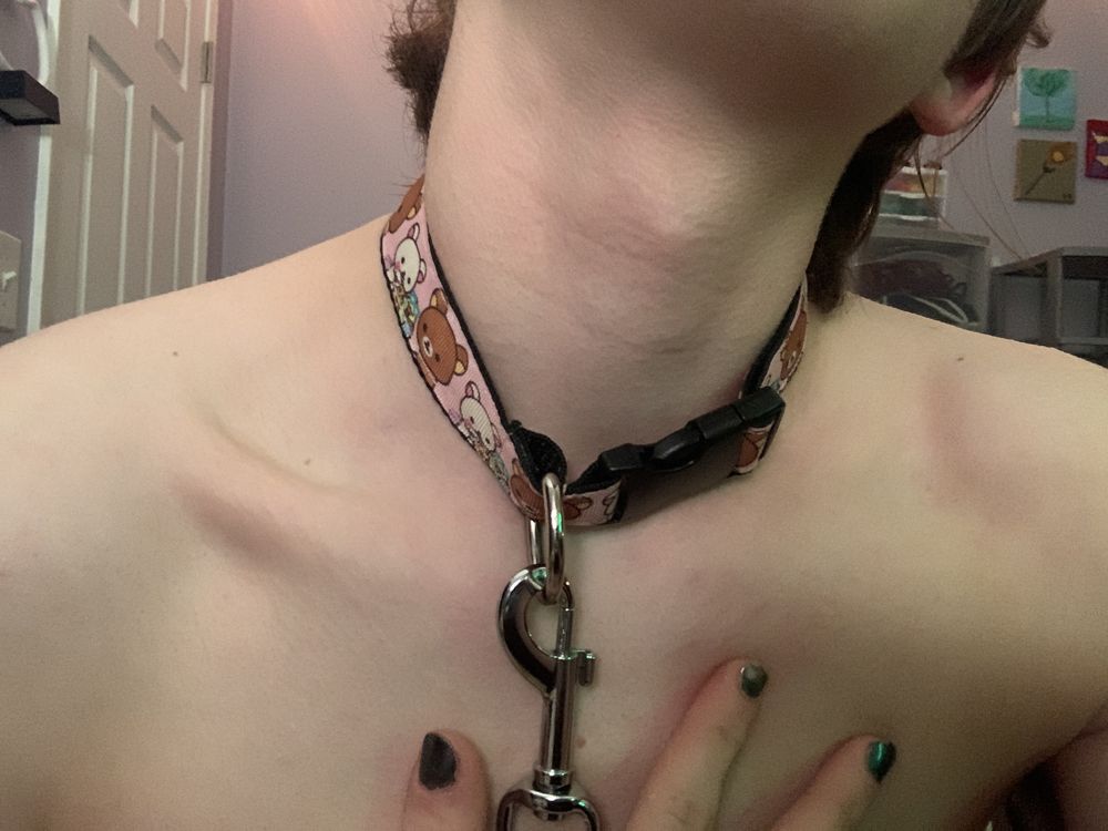 cerberusanatomy OnlyFans profile picture