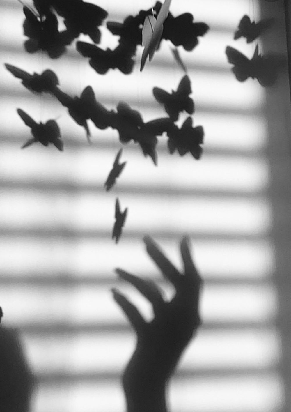 feetsbutterfly OnlyFans profile picture