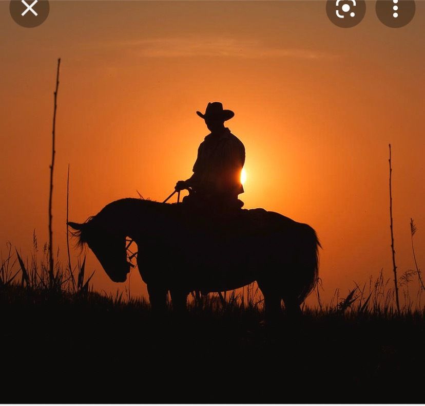 cowboylove OnlyFans profile picture