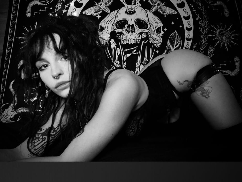 sp4cek1tty OnlyFans profile picture