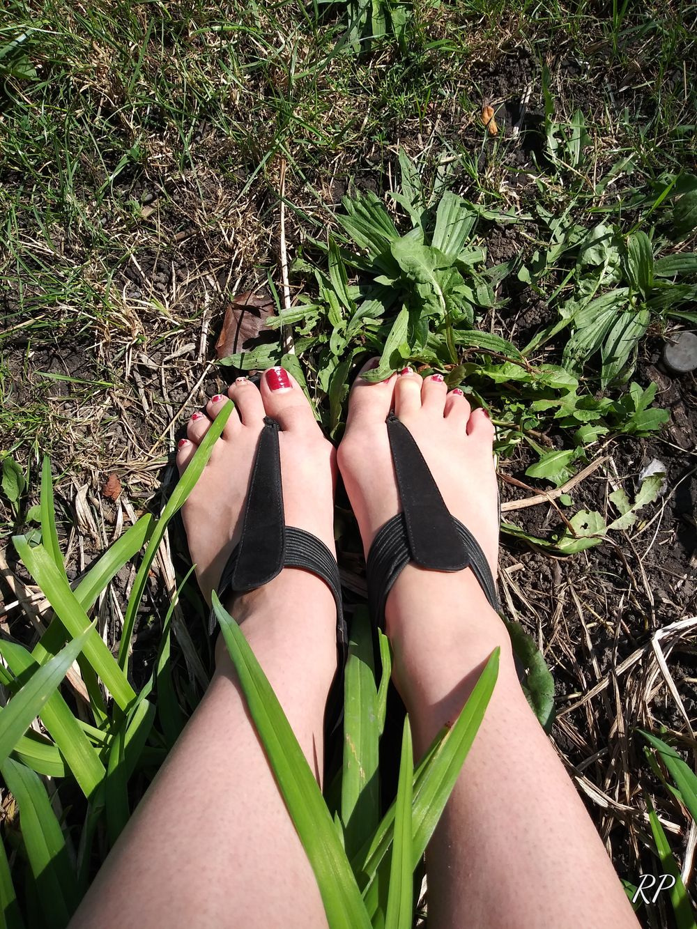 n_chunkytoes OnlyFans profile picture