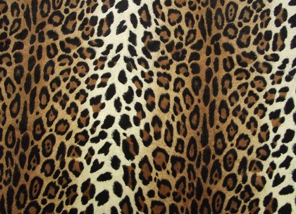alli3kat OnlyFans profile picture