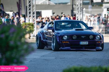 Wide Mustang