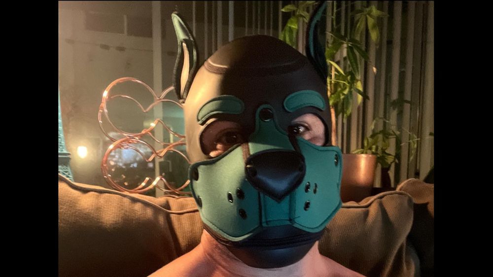 puptenderpawsxx OnlyFans profile picture