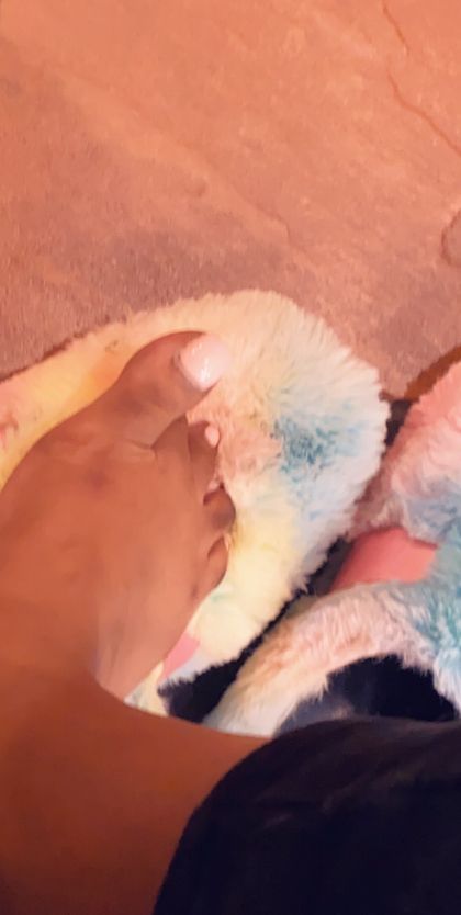 phatkatt28 OnlyFans picture