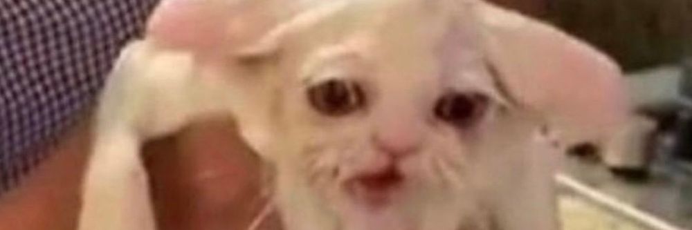 sp00kyspit OnlyFans profile picture