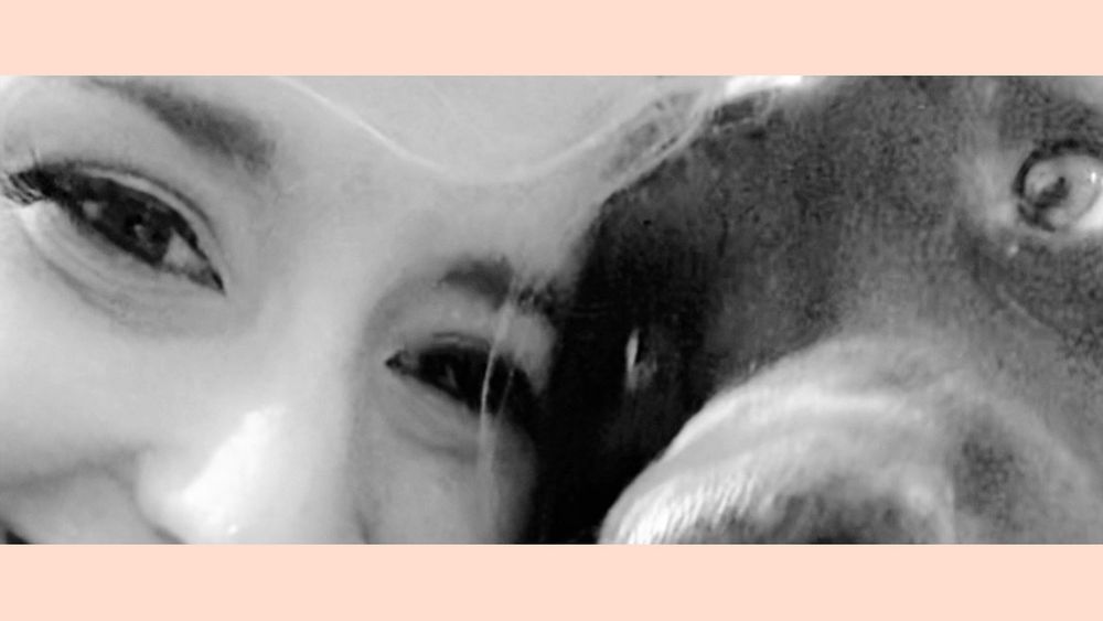 thegooses OnlyFans profile picture