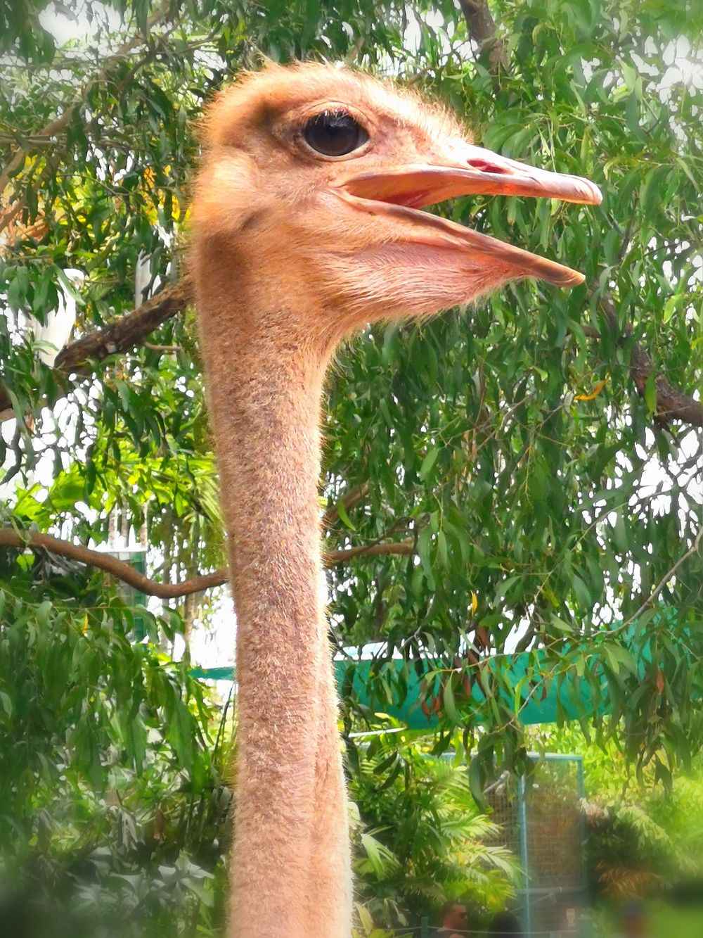 maturejamie OnlyFans profile picture