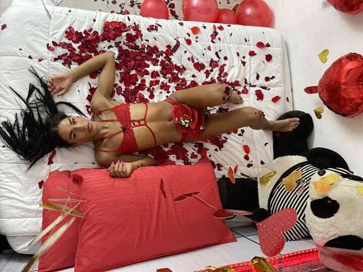 sofilobrnes OnlyFans profile picture