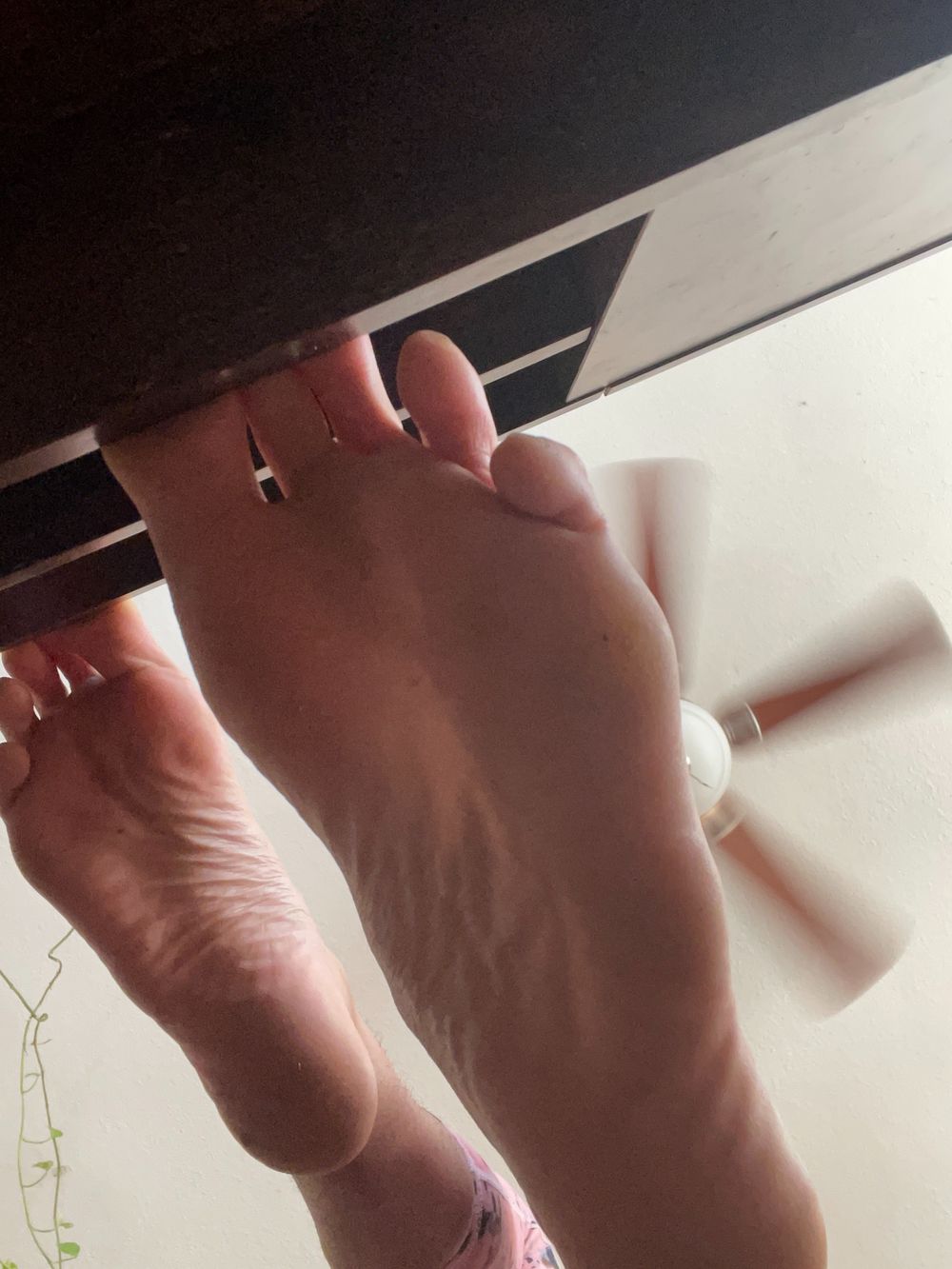 t3ntoes OnlyFans profile picture