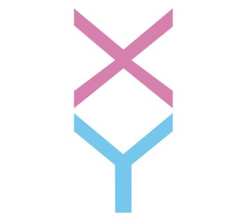 Xy_BiXy
