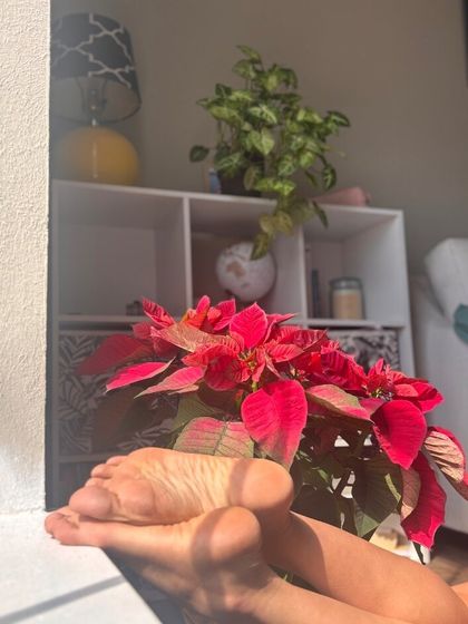 lilysoless OnlyFans picture