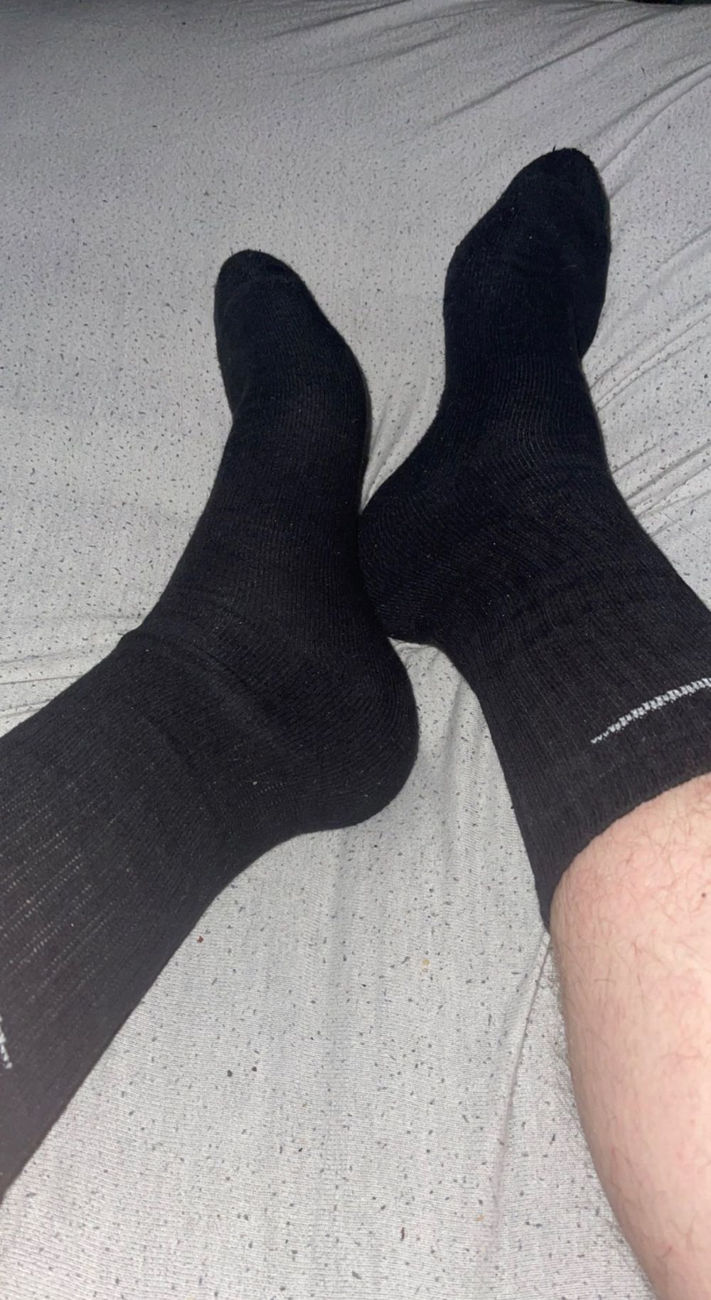 socks.king1 OnlyFans profile picture