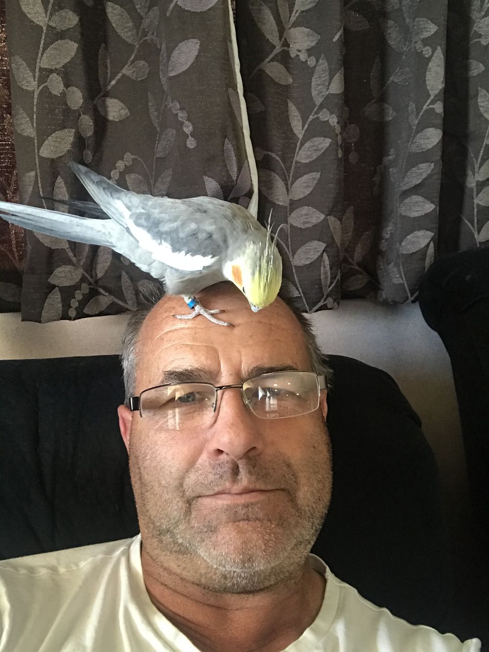franky0069 OnlyFans profile picture