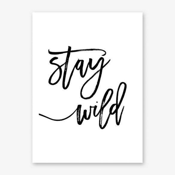stayywildd OnlyFans profile picture