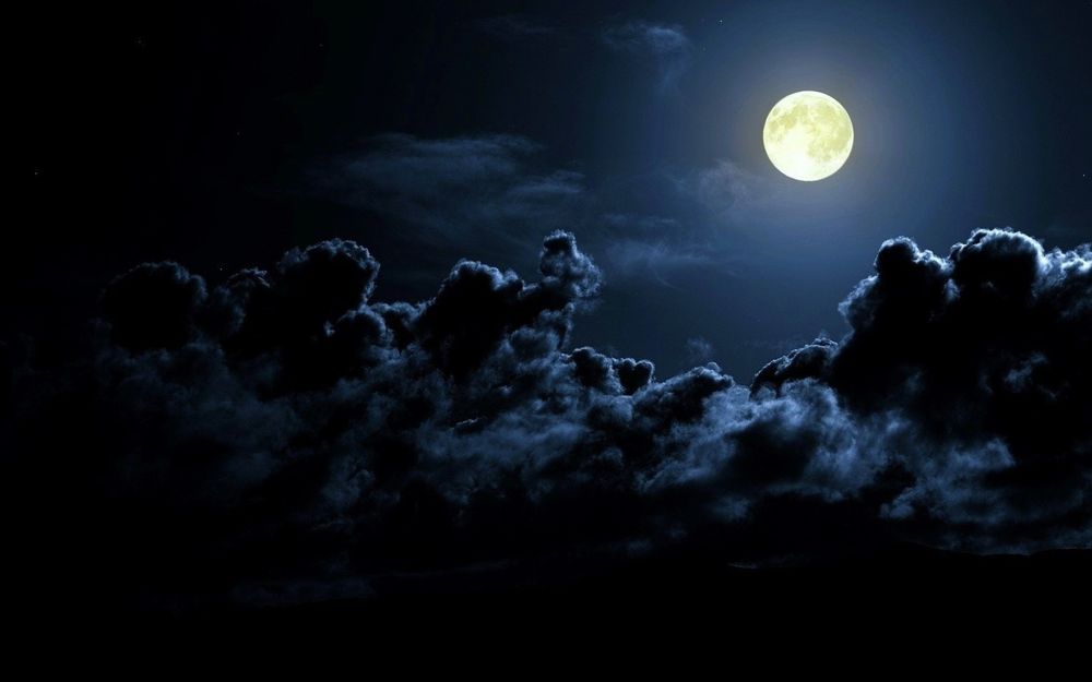 moonlit.prince OnlyFans profile picture