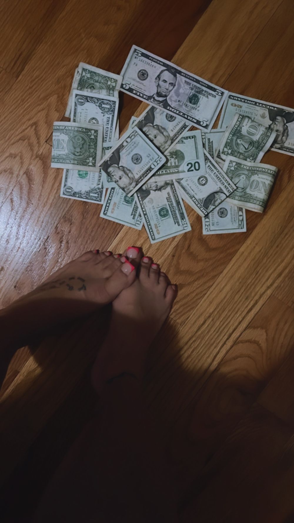 hollytoes4u OnlyFans profile picture