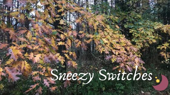 sneezyswitches OnlyFans profile picture