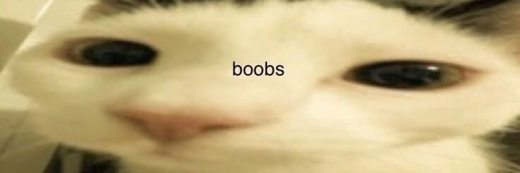 theylovekittyy OnlyFans profile picture