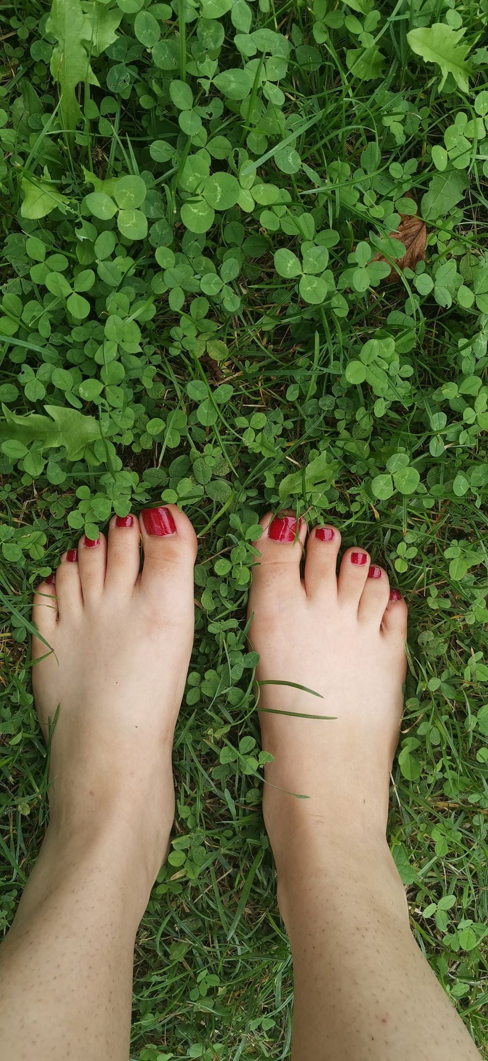 cottoncandyfeet13 OnlyFans profile picture