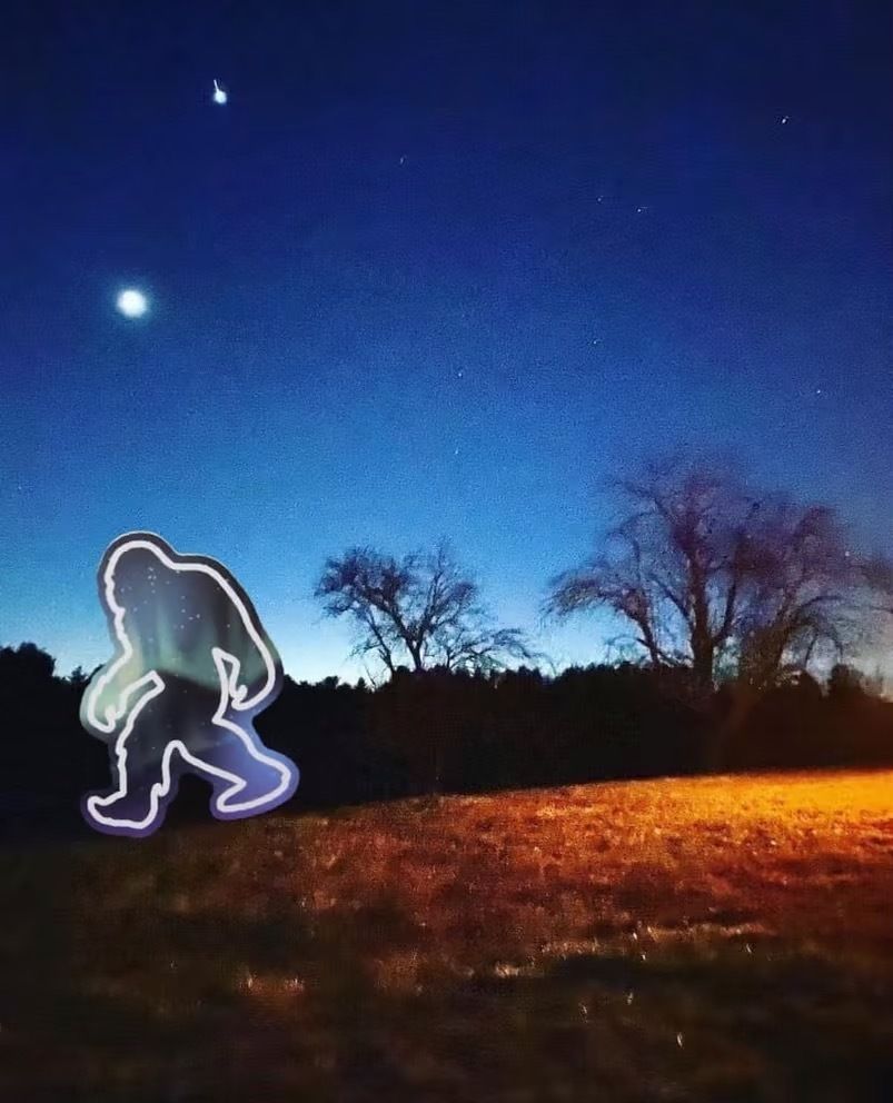 psychedelicfarmer OnlyFans profile picture
