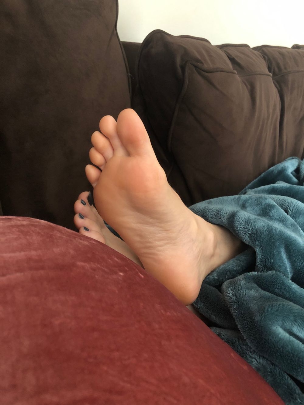 softsolesophie OnlyFans profile picture