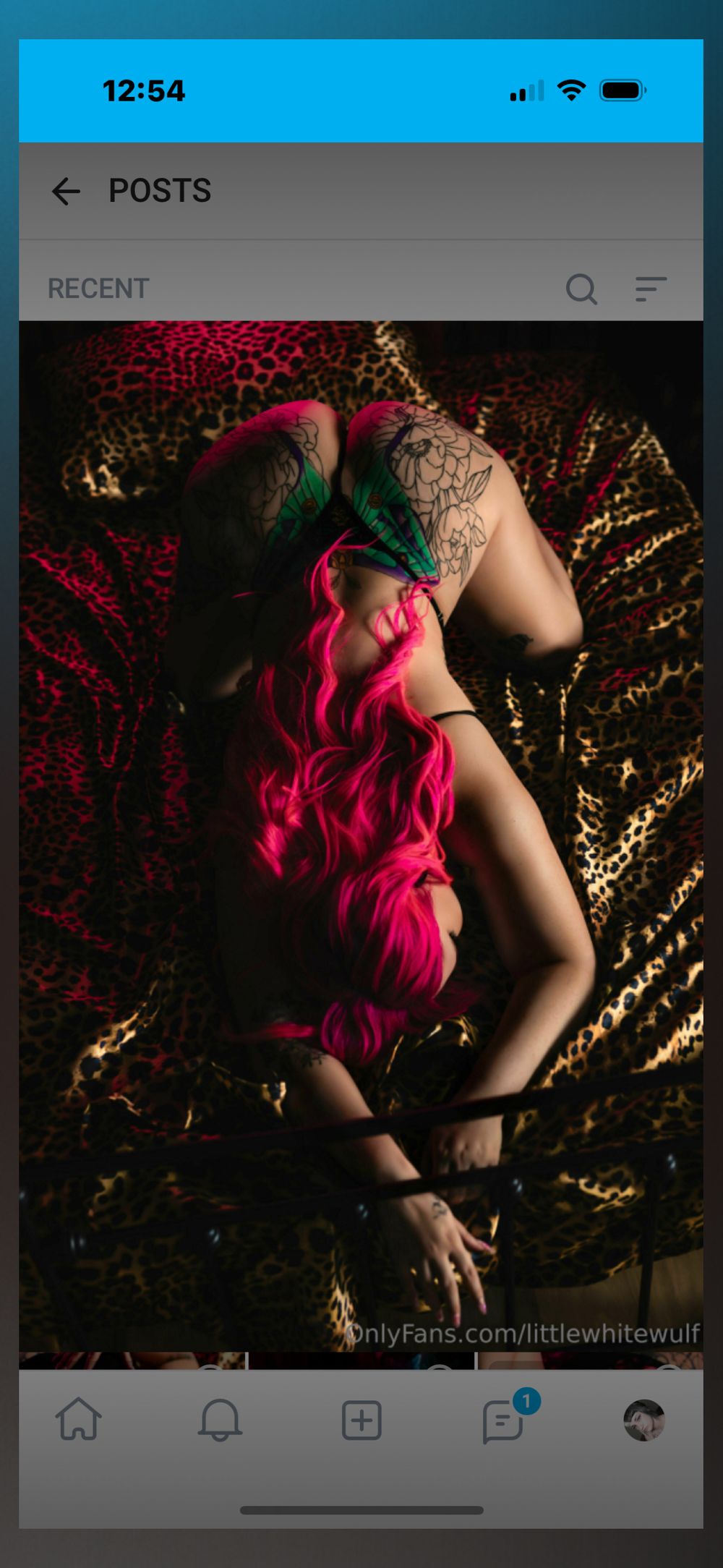 fayewulf OnlyFans profile picture