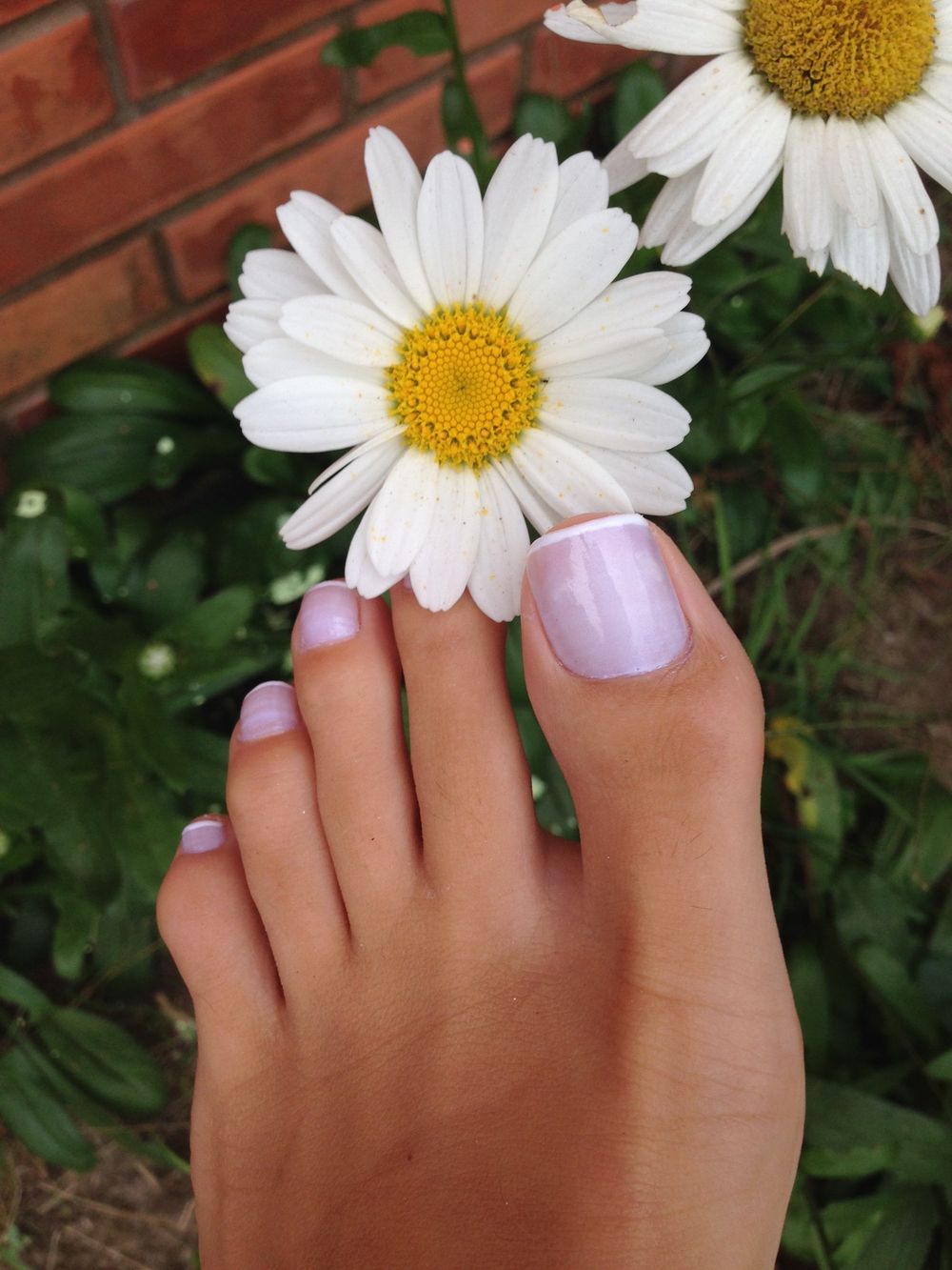 manexfeet OnlyFans profile picture